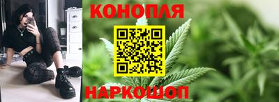 МДПВ Новозыбков