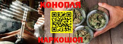 МДПВ Новозыбков