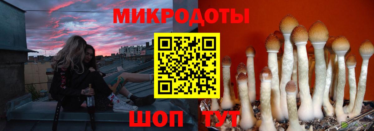 Сокол  наркота  Вход с VPN  Галлюциногенные грибы Cubensis 